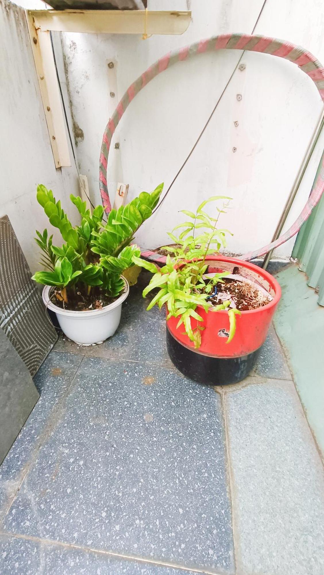 Apartment Studio Luxury Ben Canh Pho Am Thuc Ho Thi Ky Quan 10-Gia Uu Dai Ho Chi Minh City